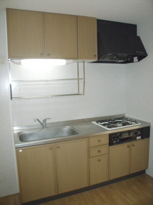 Kitchen. Stove with system Kitchen