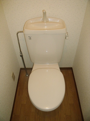 Toilet. Western-style toilet