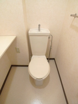 Toilet. Wide toilet