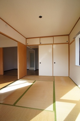 View. Japanese style room