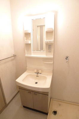 Washroom. Bathroom vanity