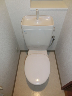 Toilet. It is a beautiful toilet