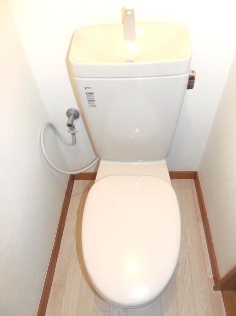 Toilet. It is a Western-style toilet.