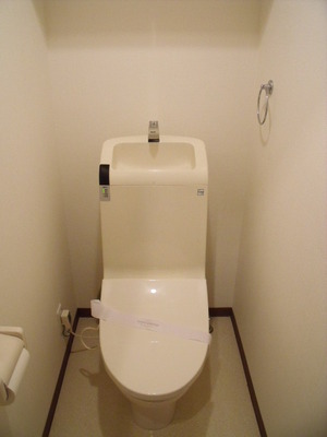 Toilet. Toilet with cleanliness