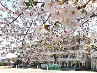 Primary school. Tatsuho stand 465m up to elementary school (elementary school)