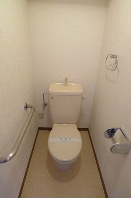 Toilet. Toilet