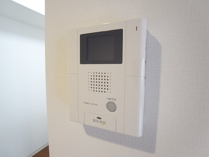 Security. Monitor with intercom