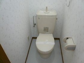 Toilet. Local meeting is also available