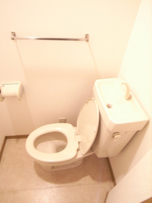 Toilet. Toilet is also of course beautifully cleaning being completed! ! 