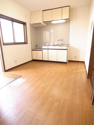 Kitchen. Two-necked gas stove installation type of kitchen ☆