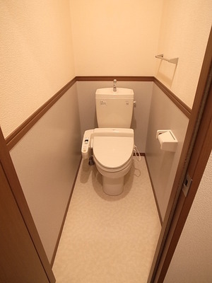 Toilet. With Washlet! 