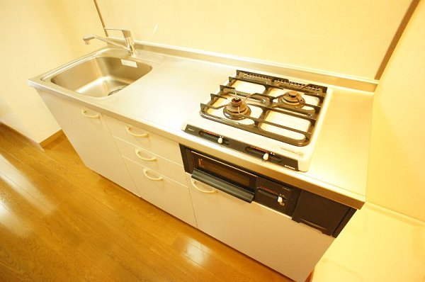 Kitchen. 2-burner stove with a system kitchen grill