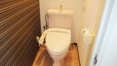 Toilet. Bidet with