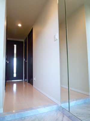 Entrance. There is also a mirror of the whole body is seen in the entrance, It helps to reach