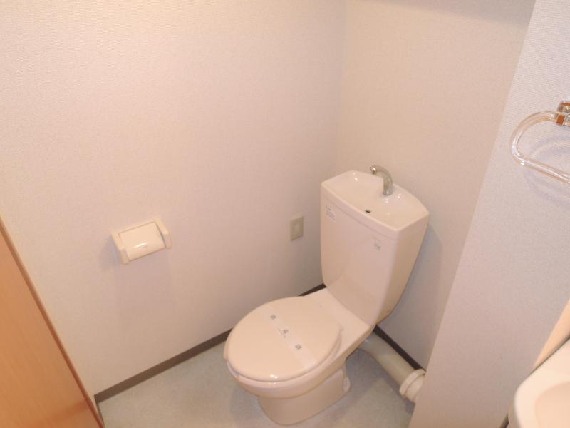 Toilet. It is clean cleaning settled