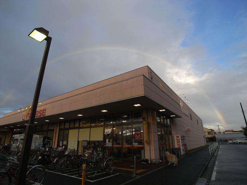 Other. Libre Keisei Alvis Maehara shop