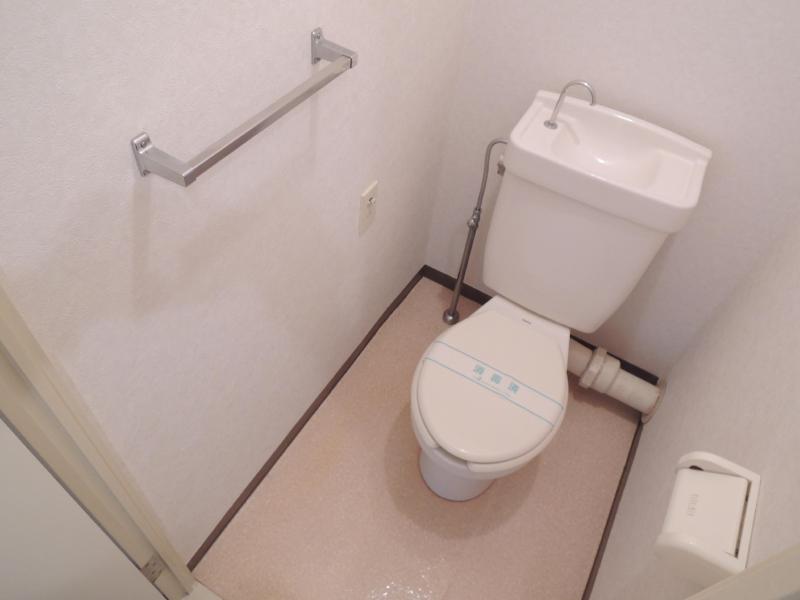 Toilet. Also clean and spacious space toilet