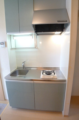 Kitchen. System K (gas 1-neck)