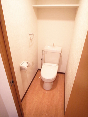 Toilet. Toilet is also beautiful to cleaning being completed