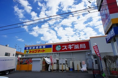 Supermarket. Top Mart ・ 395m cedar until the pharmacy (super)