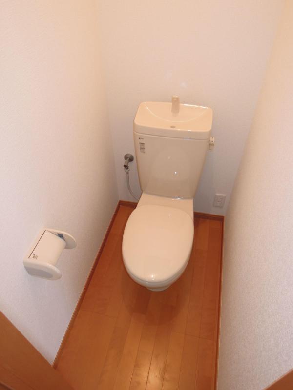 Toilet. It is clean toilet of simple design.