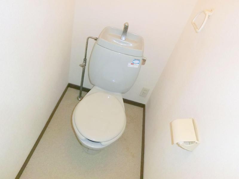 Toilet. Rest room with cleanliness