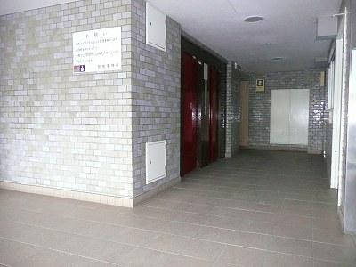 Entrance. Common areas