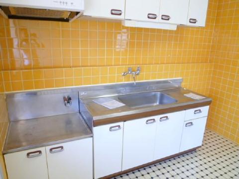 Kitchen. Two-burner stove put in the cooking space is also a large kitchen