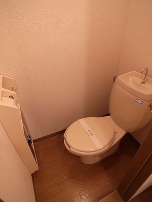 Toilet. It comes with a convenient storage unit in the toilet