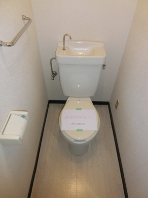 Toilet. Toilet