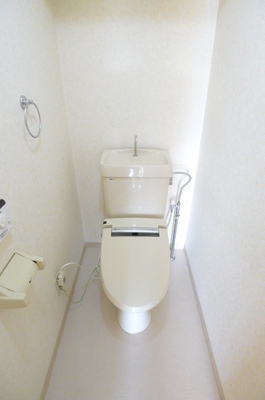 Toilet. Warm water washing toilet seat