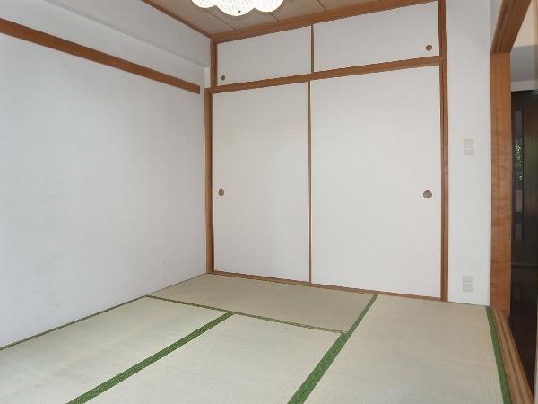 Other introspection. Can you use it in the living room and on earth