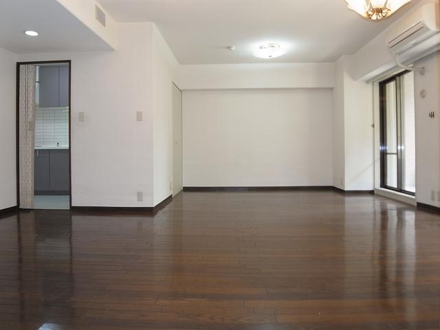 Other introspection. South-facing bright living