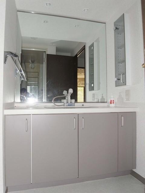 Other introspection. Vanity shower