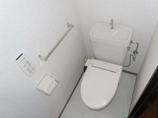 Other introspection. Washlet with function