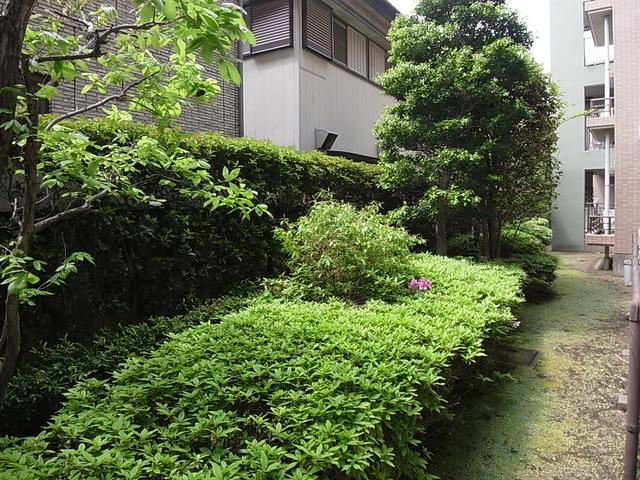 Other introspection. Balcony view