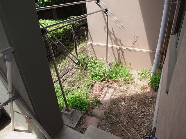 Other introspection. Private garden space