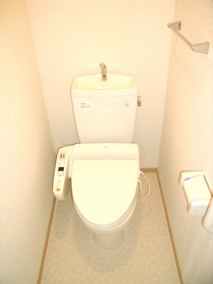 Toilet. Toilet