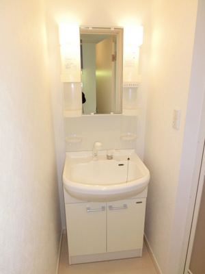 Washroom. Convenient Shampoo dresser