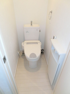 Toilet. Bidet equipped