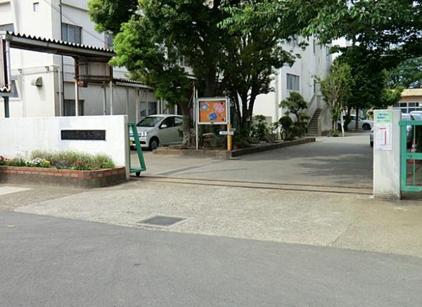 Primary school. Kosato 250m up to elementary school