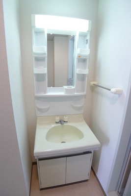 Washroom. Bathroom vanity