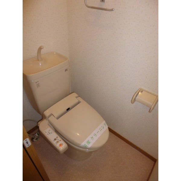 Toilet. Washlet with