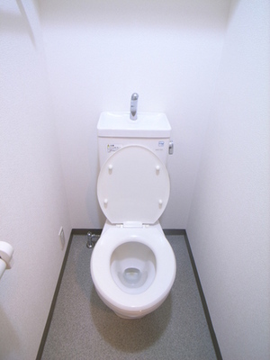 Toilet. Toilet is also beautiful to cleaning being completed! !