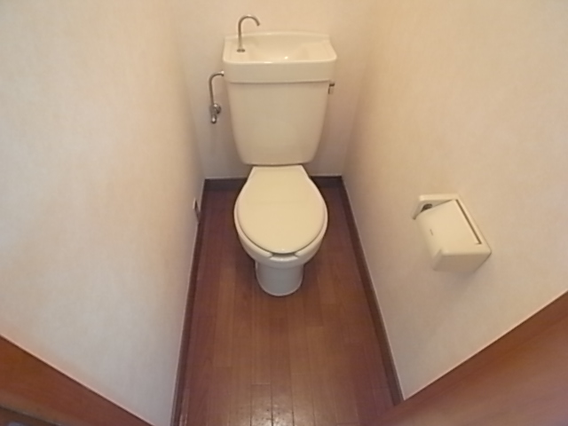 Toilet. Beautiful toilet