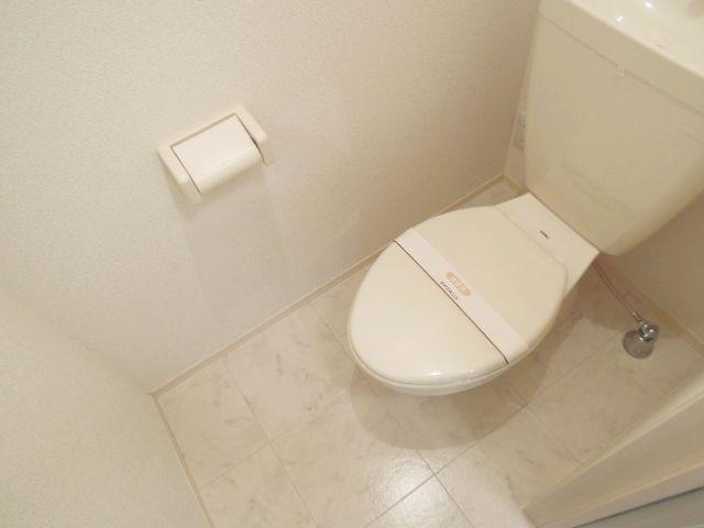 Toilet. It is a toilet with a clean. 