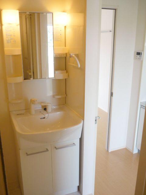 Washroom. It is with a popular shampoo dresser