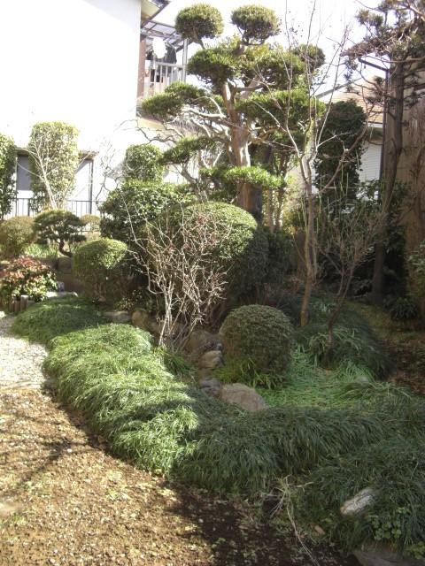 Garden. Local (March 2012) shooting