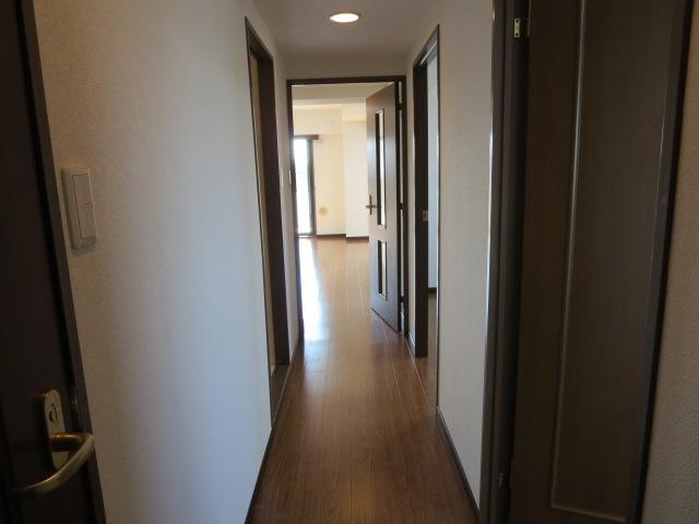 Other introspection. Airy passage