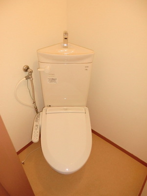 Toilet. It is a beautiful toilet